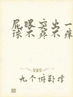 屁眼突出一个肉球不疼不痒