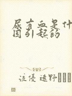 尿有血是什么原因引起的