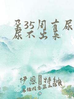 孕35周有尿意尿不出来