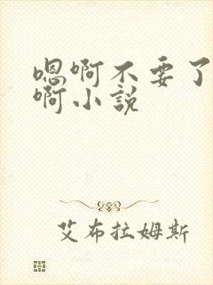 嗯啊不要了好大啊小说