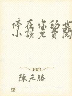 停在你的世界里小说免费阅读