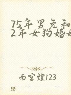 75年男兔和82年女狗婚姻怎样