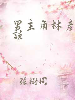 男主角林彦的小说