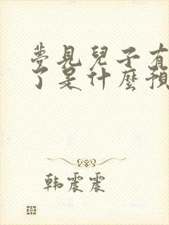 梦见儿子有孩子了是什么预兆