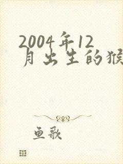 2004年12月出生的猴命运怎样