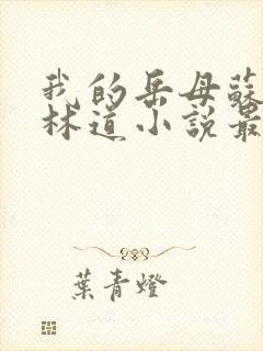 我的岳母苏沛真林道小说最新章节下载