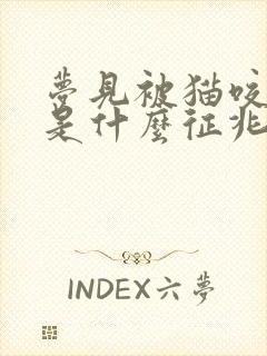 梦见被猫咬了脚是什么征兆女性