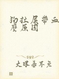 狗拉屎带血是什么原因