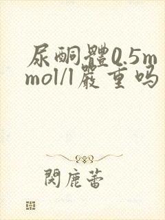 尿酮体0.5mmol/l严重吗