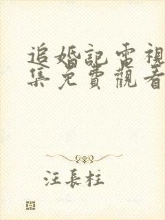 追婚记电视剧全集免费观看完整版