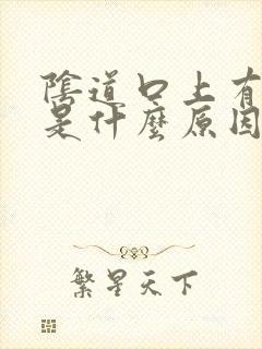 阴道口上有小泡是什么原因