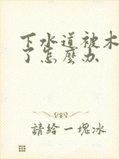 下水道被木棍堵了怎么办