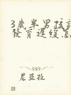 3岁半男孩语言发育迟缓怎么办?