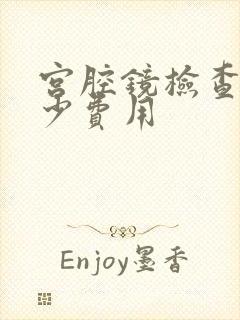 宫腔镜检查要多少费用