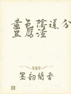 黄色阴道分泌物豆腐渣