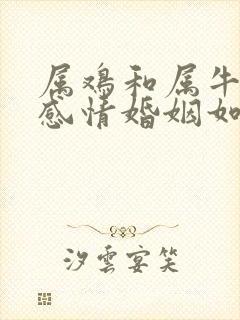 属鸡和属牛今年感情婚姻如何