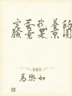 完蛋我养的小白脸竟是京圈太子爷