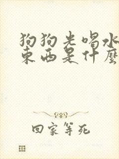 狗狗光喝水不吃东西是什么原因