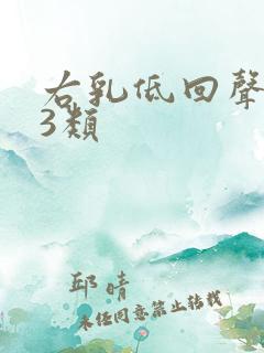 右乳低回声结节3类