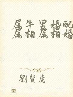 属牛男婚配最佳属相属相婚配表