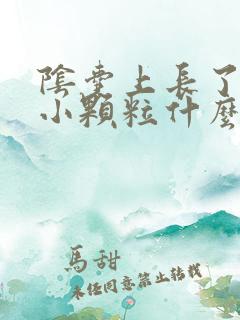 阴囊上长了白色小颗粒什么原因