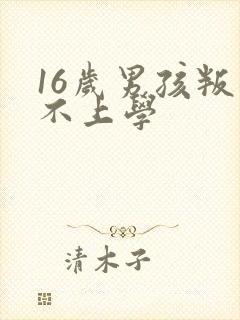 16岁男孩叛逆不上学