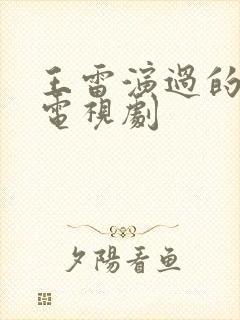 王雷演过的所有电视剧