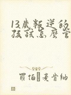 13岁叛逆的男孩该怎么管教