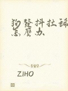 狗发抖拉稀呕吐怎么办