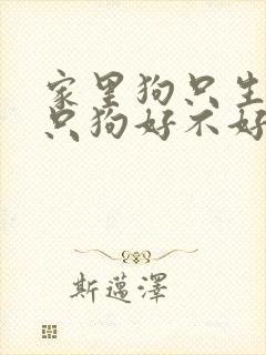 家里狗只生了一只狗好不好
