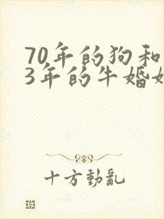 70年的狗和73年的牛婚姻般配吗