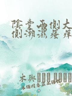 阴囊两侧大腿内侧潮湿瘙痒