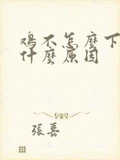 鸡不怎么下蛋是什么原因