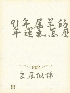 91年属羊的今年运气怎么样呢