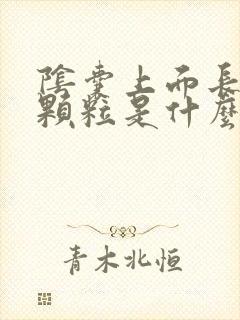 阴囊上面长了小颗粒是什么