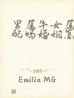 男属牛女属虎相配吗婚姻怎么样