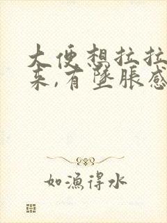 大便想拉拉不出来,有坠胀感