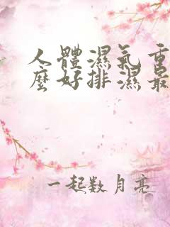 人体湿气重吃什么好排湿最快