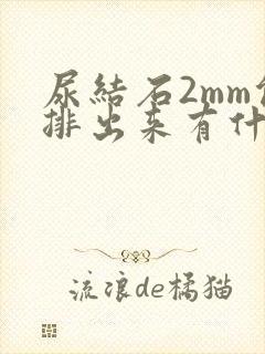 尿结石2mm能排出来有什么感觉