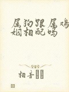 属狗跟属鸡的婚姻相配吗