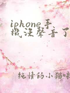 iphone手机没声音了怎么解决