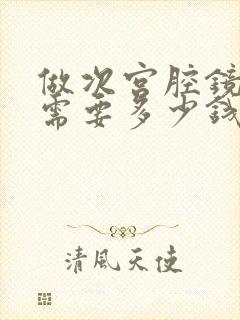 做次宫腔镜检查需要多少钱