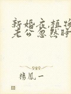 新婚夜,植物人老公忽然睁开眼笔趣阁