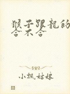 猴子跟龙的属相合不合