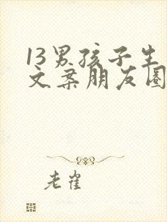 13男孩子生日文案朋友圈