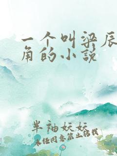 一个叫梁辰男主角的小说