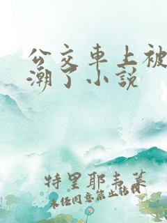 公交车上被摸高潮了小说