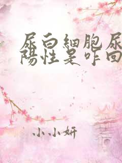 尿白细胞尿潜血阳性是咋回事