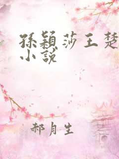 孙颖莎王楚钦的小说