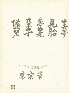 备孕梦见生了个儿子是胎梦吗